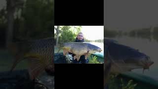#carp #carpe #carpfishing #carperformance