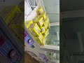 서울 방학동 인뽑 현실