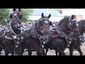 Tire de chevaux, St Honoré 2017, 8000 lb
