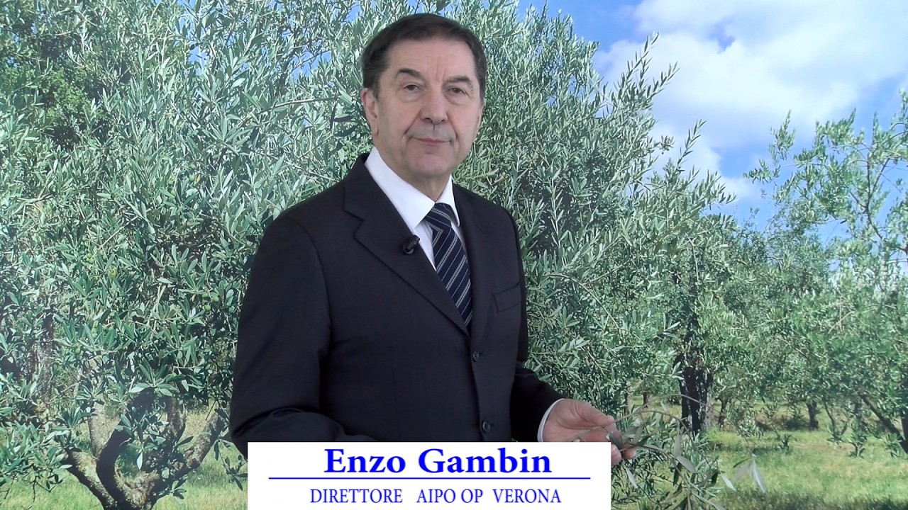 Periodico olivo 20 Febbraio 2026