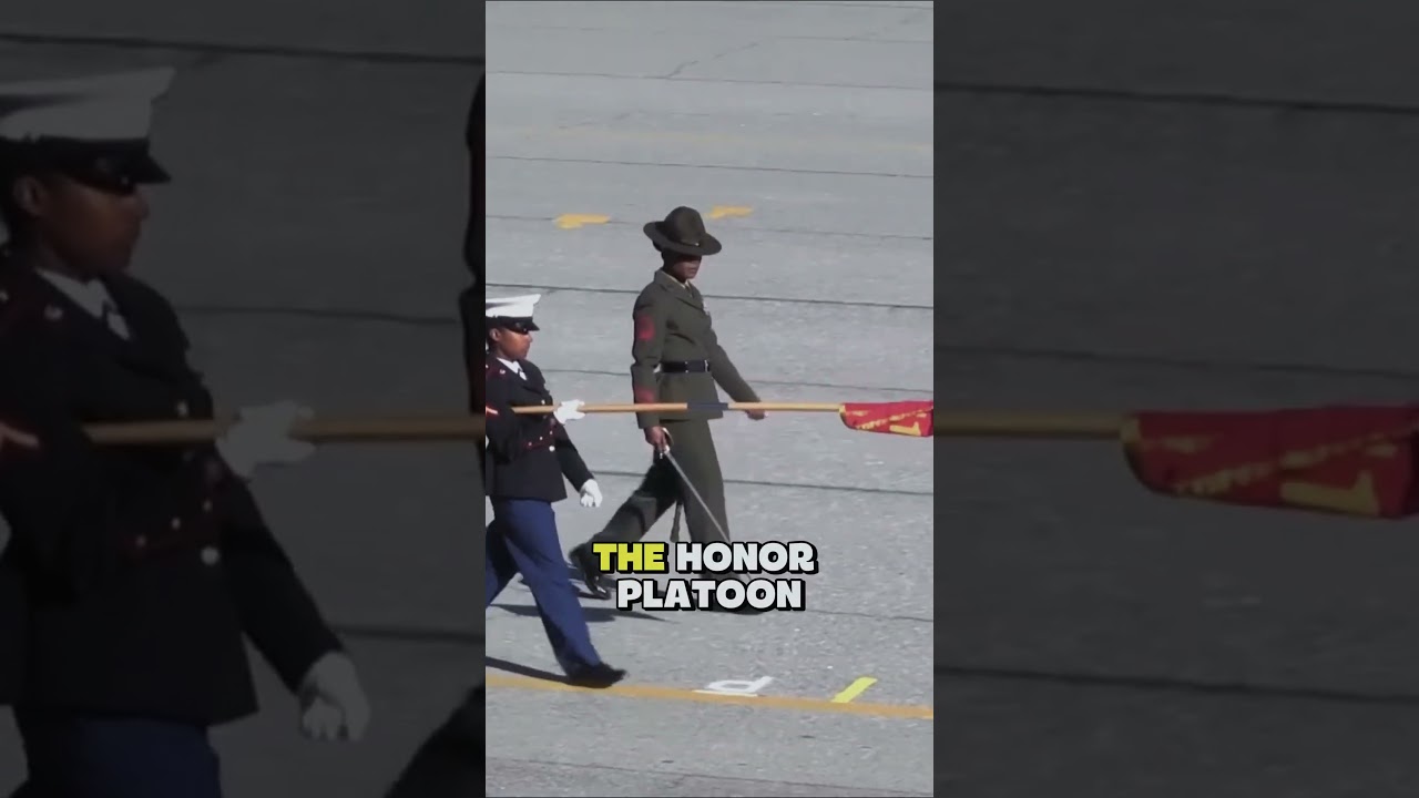 Корпус морской пехоты США: женщины-морпехи — красота, сила и дисциплина 💪