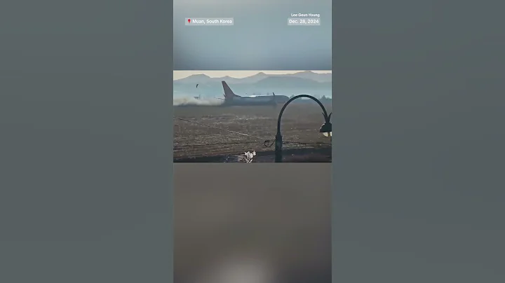 Airplane veers off runway and crashes at South Korea airport