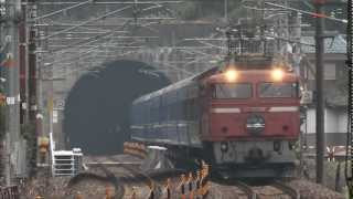 4002レ EF81-101 寝台特急日本海 11連 南今庄~敦賀 北陸トンネル出口 2012.03.09