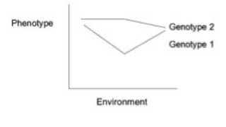 Genotype-environment interaction | Wikipedia audio article