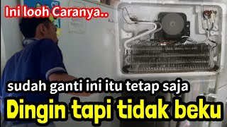 MUDAH.. KULKAS 2 PINTU DINGIN TIDAK BISA BEKU INI SOLUSINYA