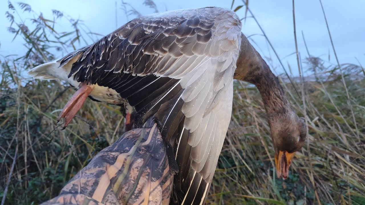 Une nuit de tonne en novembre 2025