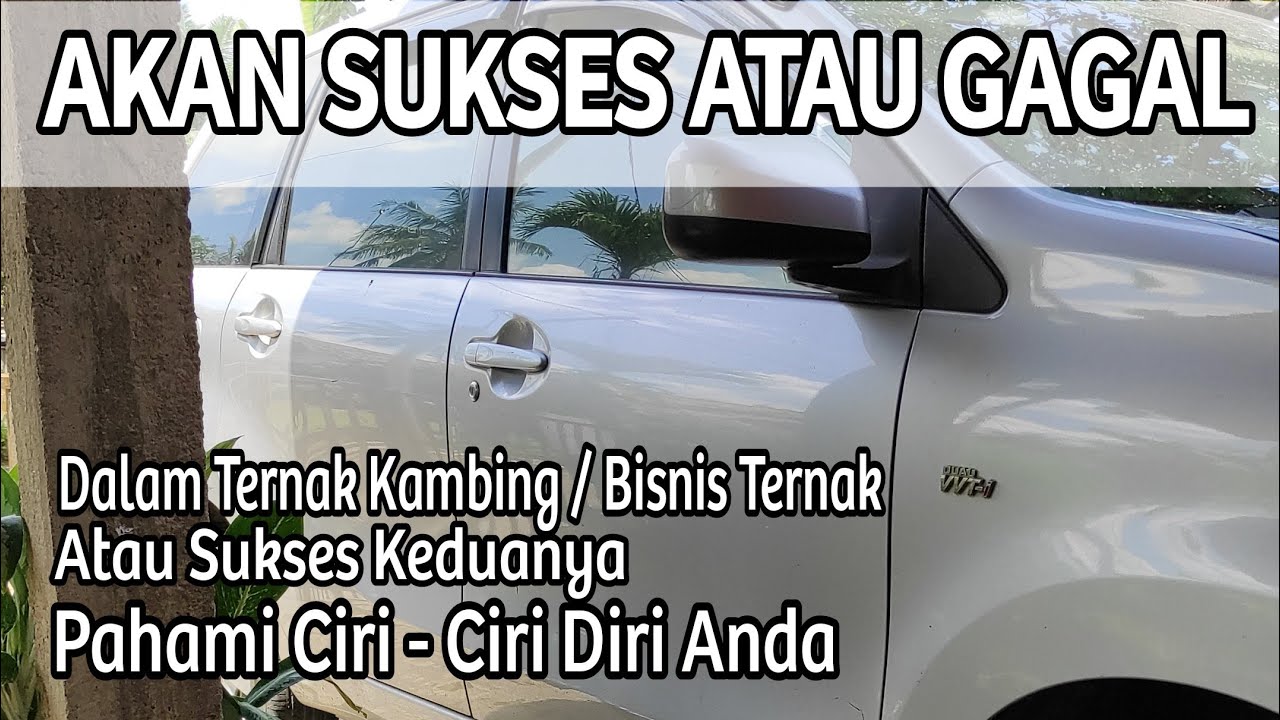 BAGAIMANA MEMULAI TERNAK KAMBING 
