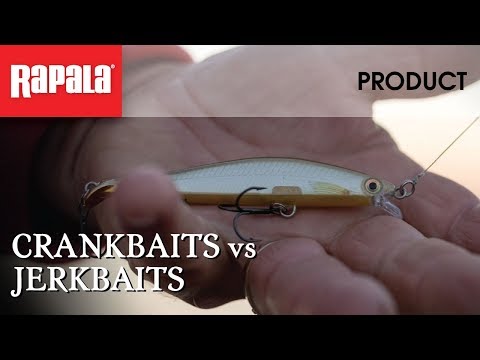 Difference between crankbait, jerkbait, spinnerbait - Nootica - Water  addicts, like you!