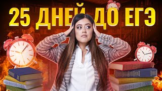 Меньше месяца до ЕГЭ. Что делать?