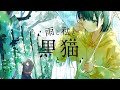 星屑 ShowTime