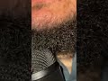 3 seconds asmr sounds #relax #asmr #odlysatisfying #satisfying #ingrownhairremovel #beard