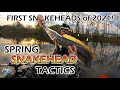 My First Snakeheads of 2021: How to Catch Spring Snakehead, Spring Snakehead Fishing Tips