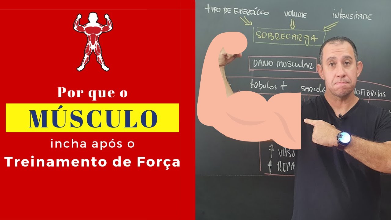 Em Branco, PDF, Treinamento de força