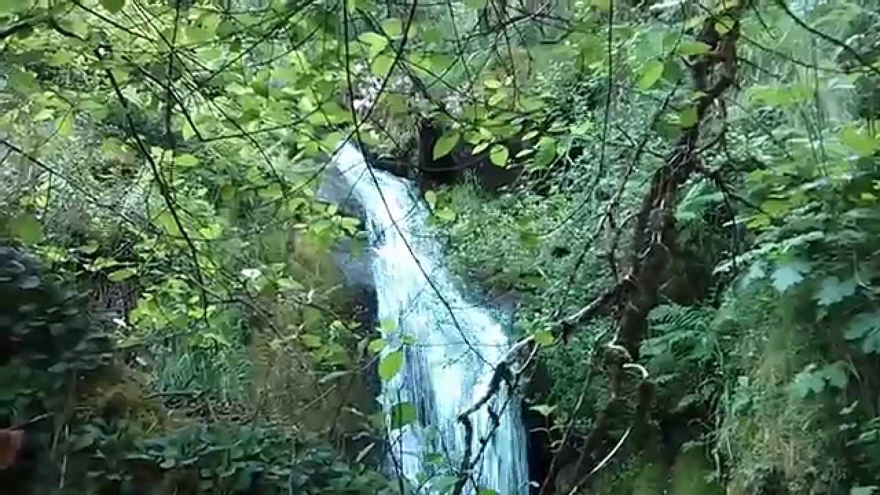 Catarata (fervenza) en As Quintas (A Estrada, Galicia)