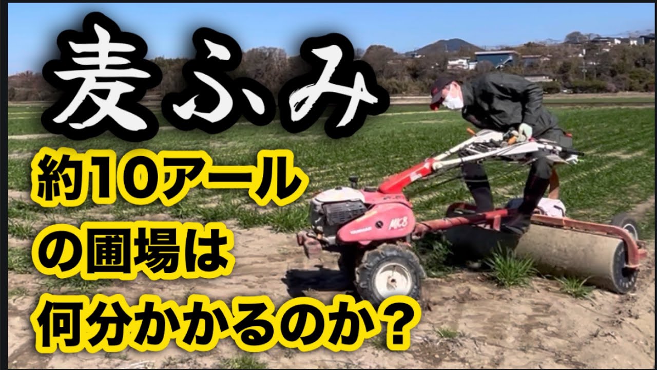 ヤンマー管理機MK8で2026年、3回目の麦踏み実施しました - YouTube
