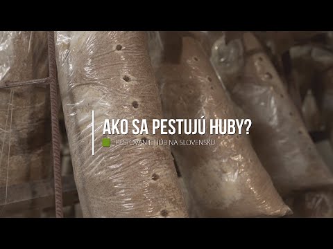 Video: V akých podmienkach huby rastú?