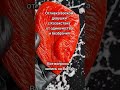 ‼️ОТЛИВКА ВОСКОМ ДЕВУШКИ С КАЗАХСТАНА ОТ ОДИНОЧЕСТВА И БЕЗБРАЧИЯ