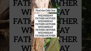 Find The Odd One Visual Logic Challenge Ep.2657