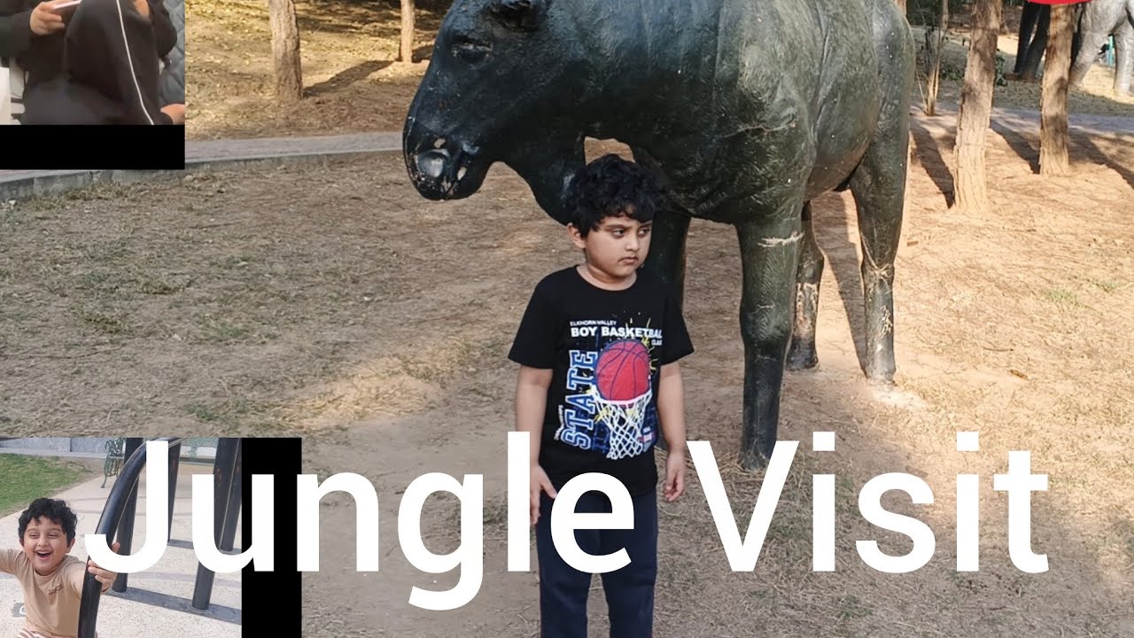 The jungle visit #vlog #forestpark #wildlife 