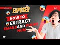 Viral lead Email and Phone Number Extractor - How to Extract Emails and Numbers Online