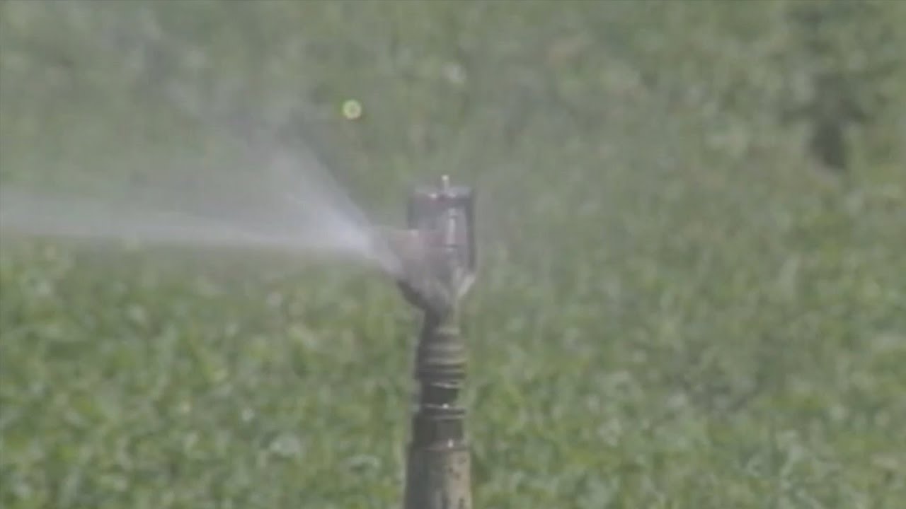 Saving water on your lawn YouTube