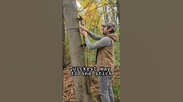 Quickest way to climb a tree saddle hunting! DIY One Stick Lightest,cheapest, climbing stick #shorts
