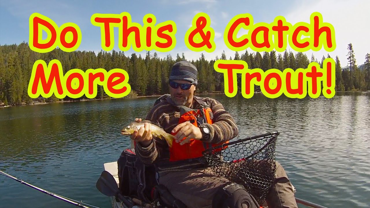 Details Count, When You Fish For Trout! YouTube