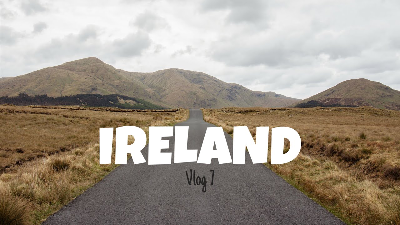 Как я оказалась в Ирландии? Олени в Дублине | Vlog 7 | Финиш путешествия в автодоме
