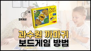 [보드게임 권차장] 하바 과수원 까마귀 보드게임 방법 | 유아 보드게임 추천 | HABA | Orchard Boardgame | HB3103 | 협력게임 | 과일 수집 게임