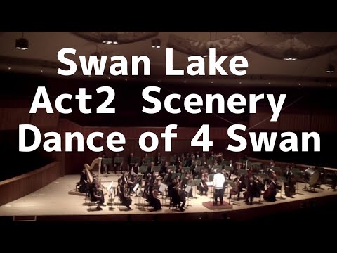 Swan Lake   Act2     Scenery       Dance of 4 Swan