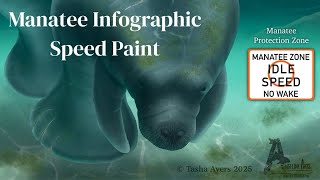 Preventing Manatee Boat Strikes | Speed Paint |