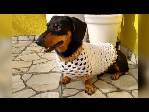 ROUPA PET FÁCIL EM PONTO BLOQUINHO / CROCHÊ PASSO A PASSO