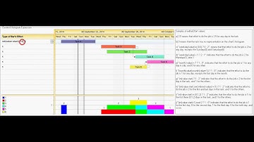 Exontrol Histogram Effort Customization