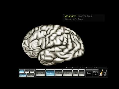 SLP 12 App Desktop Software video