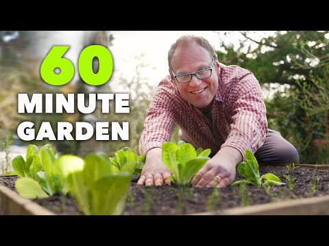 Video: Započinjanje vrta oprašivača