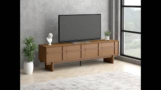 BR21 TV2113