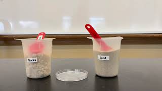 Lab Station Rotation - Combining Substances