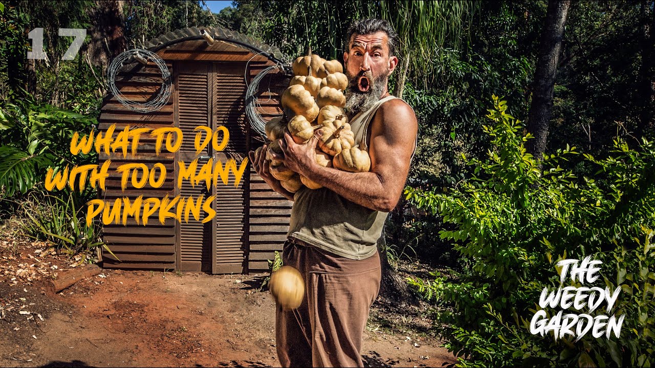 THE PUMPKIN ECONOMY - bartering produce