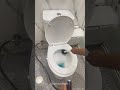 Sikat Toilet Paling Oke Nih