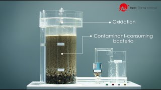 Innovating Future: Chemical- free Groundwater Purification