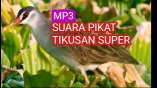 MP3 BURUNG TIKUSAN ASLI REKAMAN DIJAMIN NYOSOR.