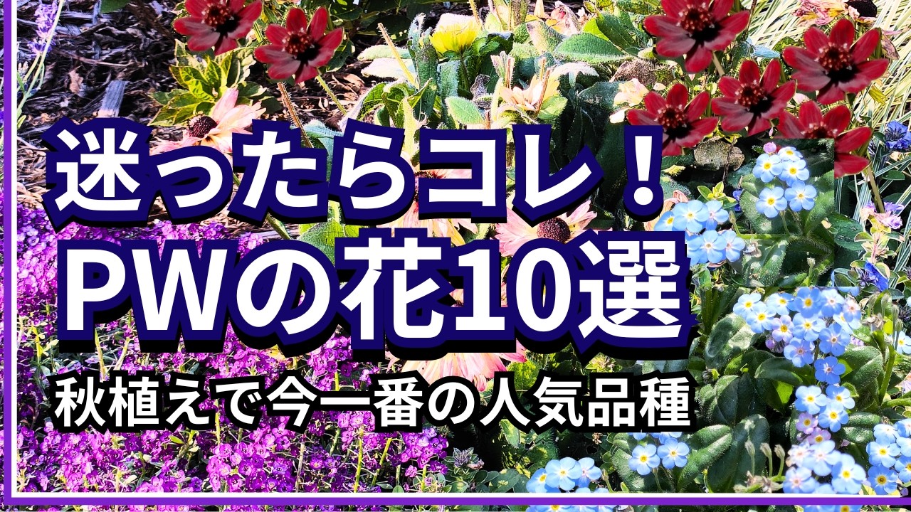 手のひら散歩 庭園編 YouTube