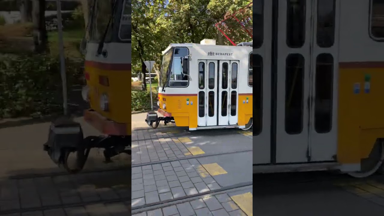 Trams in Budapest 🇭🇺| widely used public transport and always on time | 