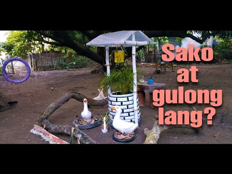 Video: DIY gulong crafts para sa hardin