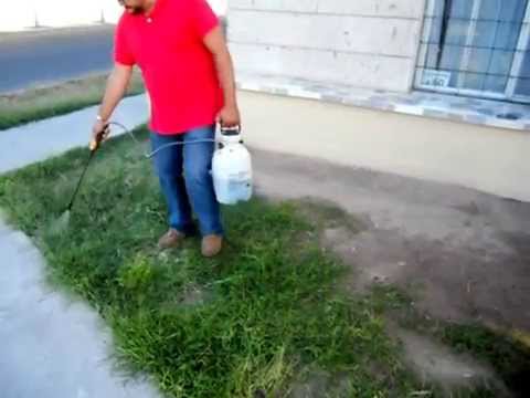 Extraordinario Empeorando otro Paso-1: Aplicamos el herbicida - YouTube