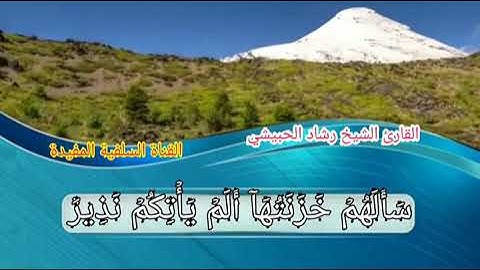 حالات واتس آب_ تلاوة رائعة جداً_بصوت فضيلة الشيخ رشاد الورد الحبيشي حفظه الله ورعاه