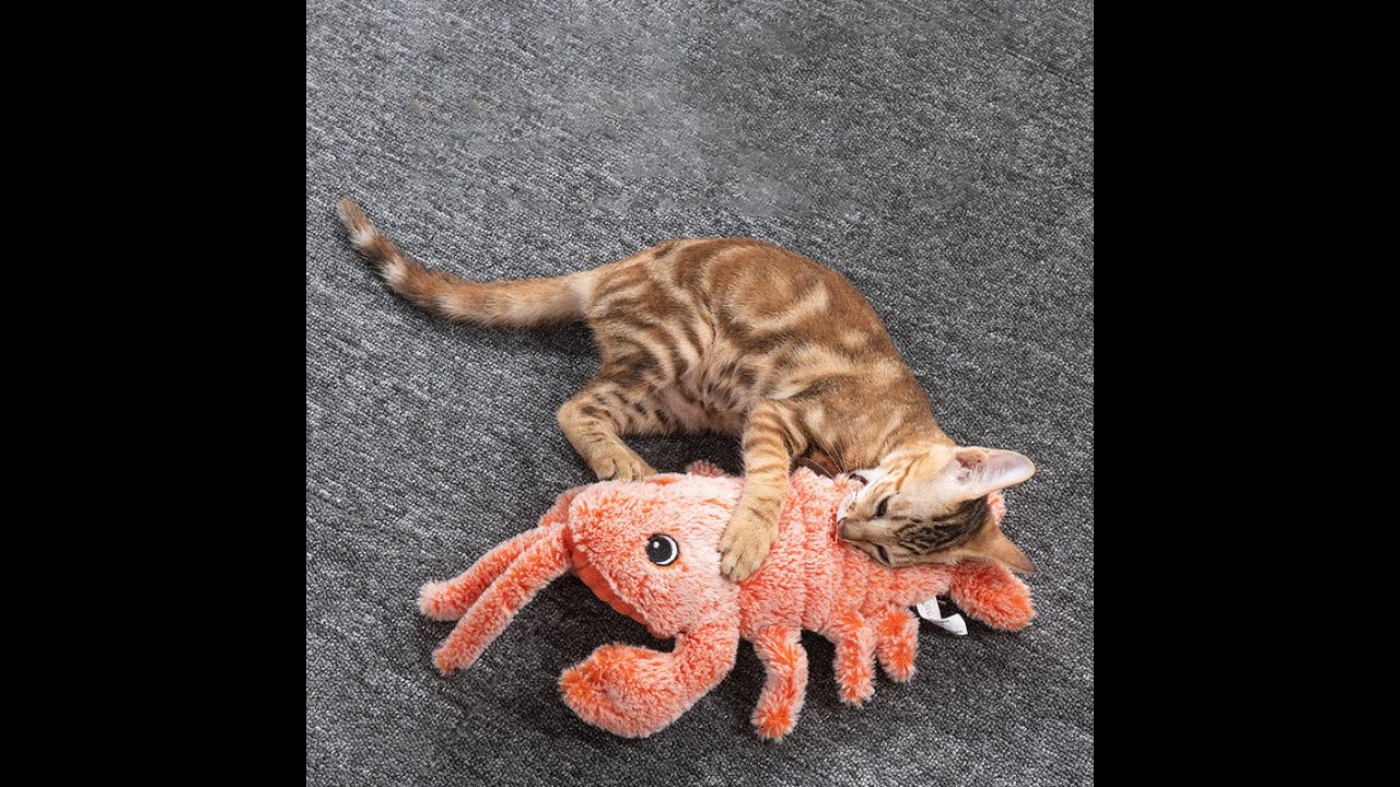 Unleash Joy with Electric Jumping Shrimp Pet Toy | USB Charging, Simulated Lobster Fun for Cats!