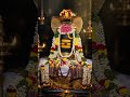 thinam oru linga tharisanam#sivayanamaha #N$D (31)#thiruvanamalai 👏 #sivayanamaha