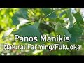 daywalker - Natural Farming Interview Panos Manikis FULL (e_15)