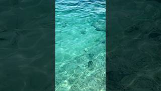 Lý Do Đảo Hòn Mun Cấm Đeo Ống Thở Khi Bơi Và Lặn Biển Tại Nha Trang #nhatrang #travel #chill